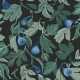 Papel Pintado Boras Tapeter Swedish Designers Figs 2060