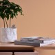 Papel pintado Architects Paper del Catálogo Jungle Chic 37702-1