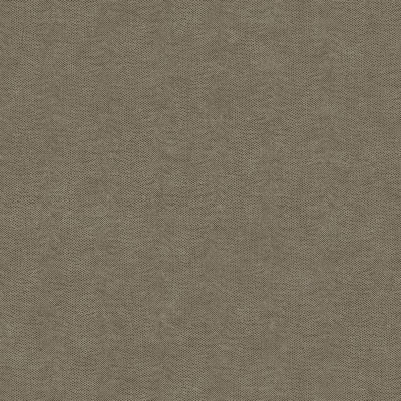 Papel pintado Casadeco Leathers Galuchat LEAT87169409