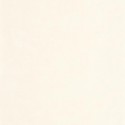 Leathers Club LEAT 8713 02 07 Papel Pintado