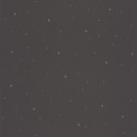 La Forêt Under the stars FRT 10296 99 83 Papel Pintado
