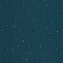 La Forêt Under the stars FRT 10296 66 45 Papel Pintado