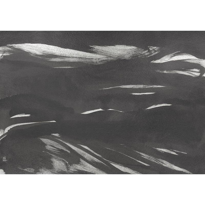 Mural Decorativo Coordonné Geo Marine Xray A00144