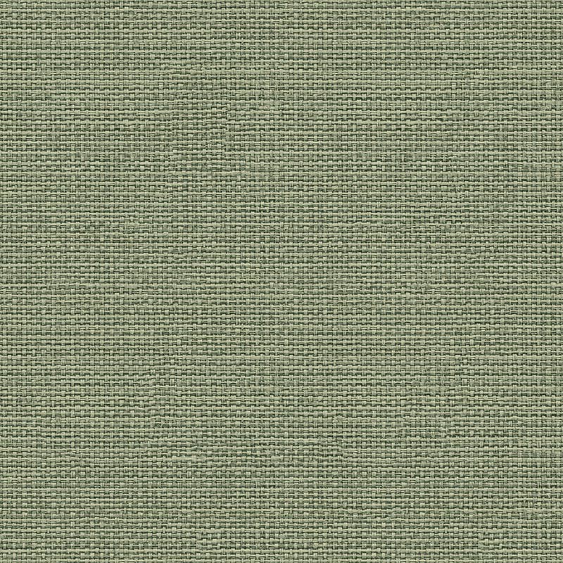 Papel pintado Coordonné Raffias+ 9800063
