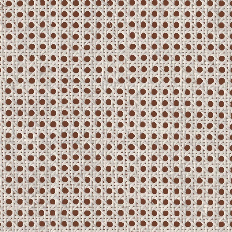 Papel pintado Coordonné Raffias+ 9800005