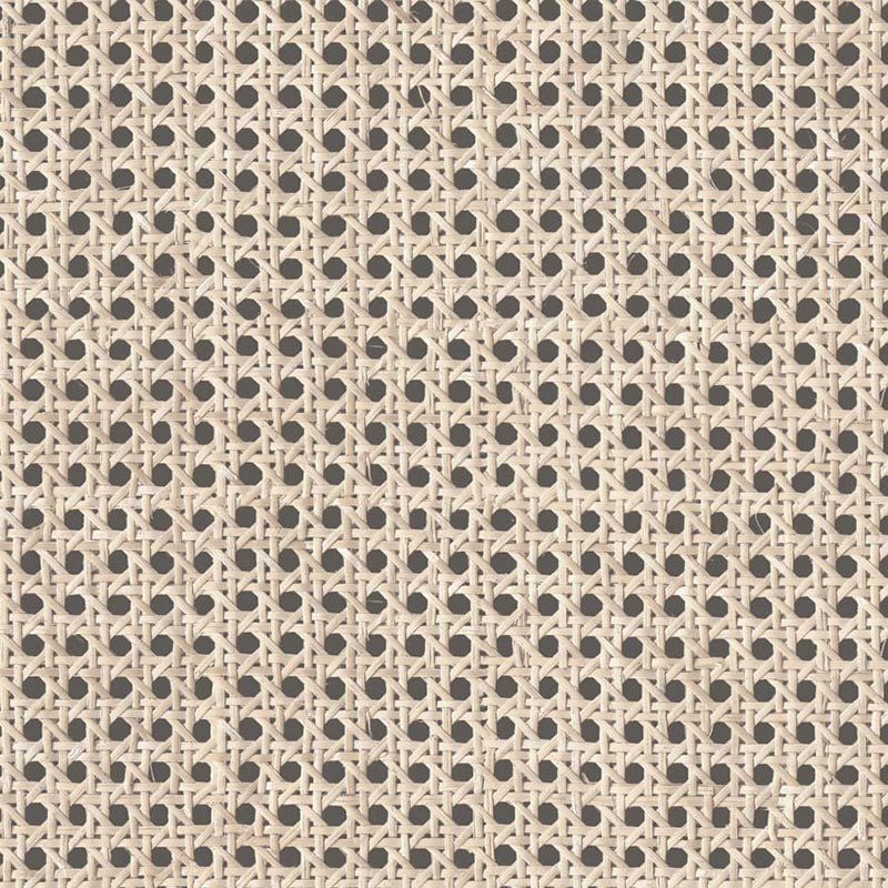Papel pintado Coordonné Raffias+ 9800002