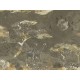 Papel pintado BN Walls  Rivièra Maison 3 Savannah 300406 DG