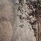 Papel pintado BN Walls  Rivièra Maison 3 Palazzo 221143