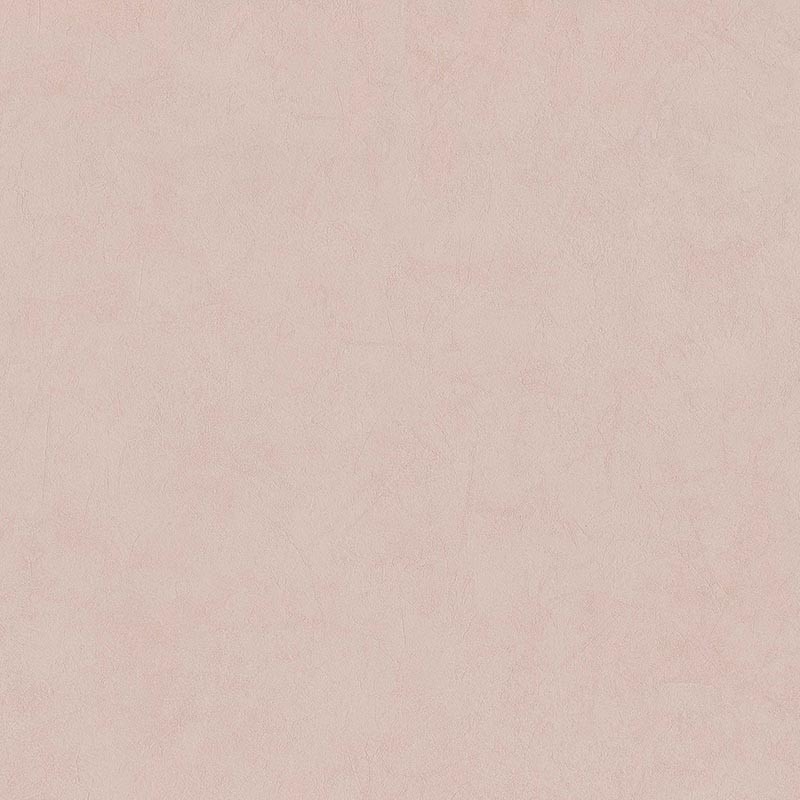Papel pintado BN Walls  Imagine Blush 221055