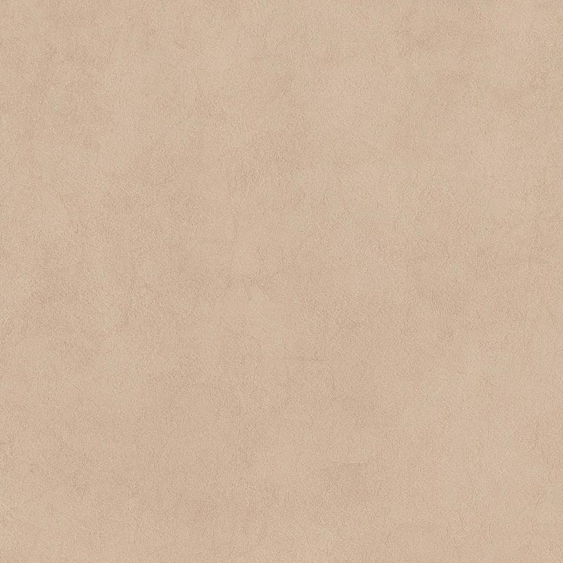 Papel pintado BN Walls  Imagine Blush 221052