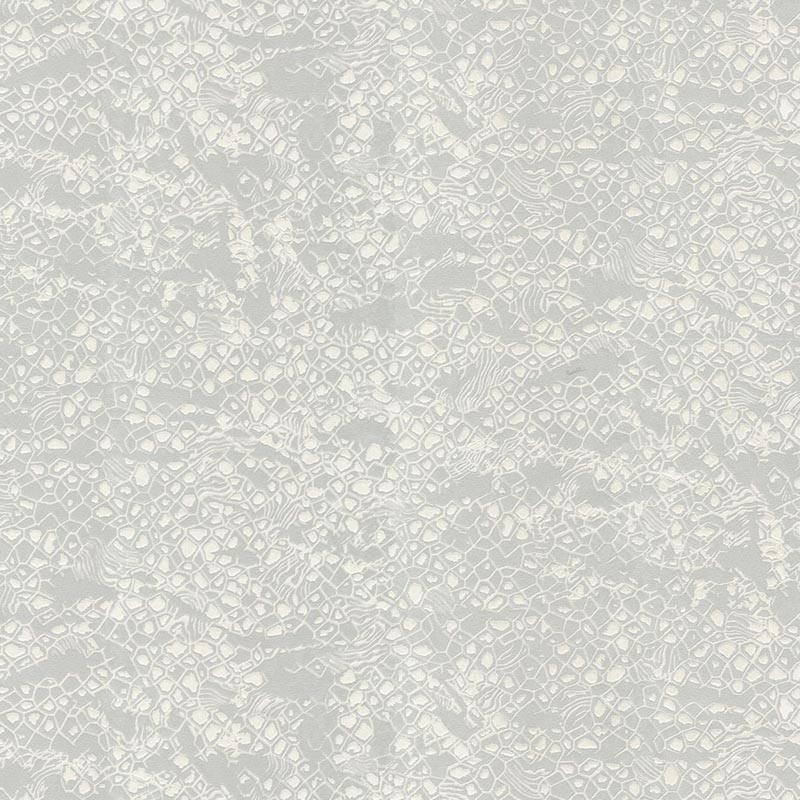 Papel pintado Roberto Cavalli nº 8 RC19034