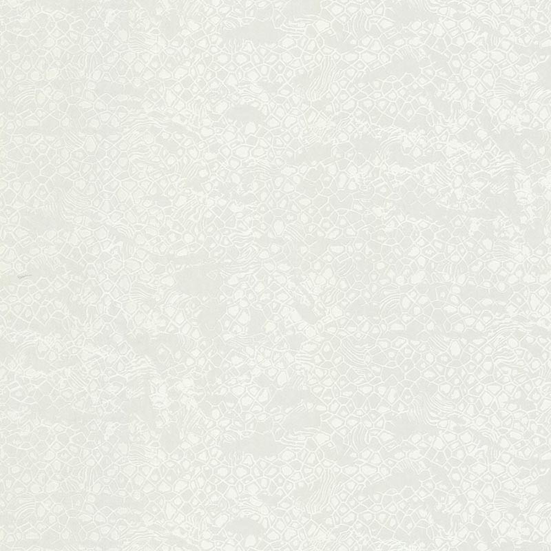Papel pintado Roberto Cavalli nº 8 RC19039