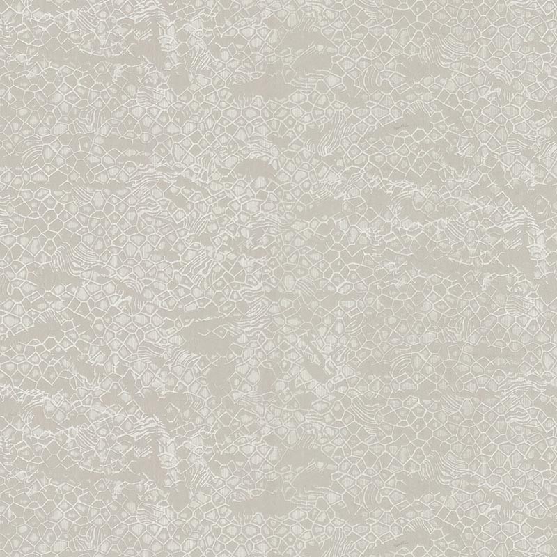 Papel pintado Roberto Cavalli nº 8 RC19038
