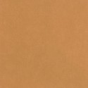Young & Free YNF 6452 21 00 Papel Pintado Caselio