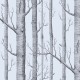 Papel pintado Cole & Son Contemporary Restyled 69-12150