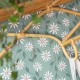Papel pintado Caselio Essentiel Anna ETL103127070