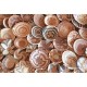 Mural Decorativo Living Walls Desert Lodge DD123412
