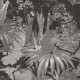 Papel Pintado Living Walls Desert Lodge 38522-1