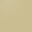Patagonia Pinto 36140 Papel pintado Holden
