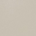Patagonia Pinto 36142 Papel pintado Holden