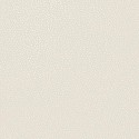 Patagonia Pinto 36144 Papel pintado Holden