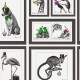 Papel pintado Holden Imaginarium II Mad Dogs 97921