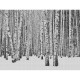 Mural As Creation The Wall Metropolitan Stories 38259-1