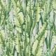 Folium Tiger Leaf Osborne & Little Papel W7333-02