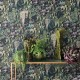 Folium Green Wall Osborne & Little Papel W7330-02