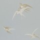 Papel pintado One Sixty Swallows de Sanderson DVIWSW104