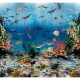 Mural Infantil Sofie & Junar Aquarium INK7666