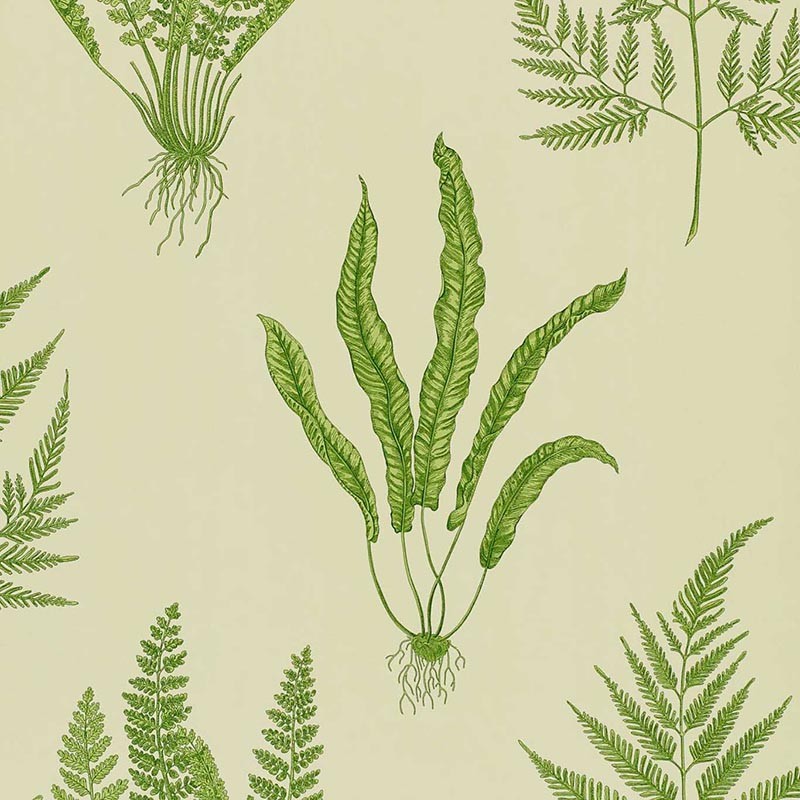 Papel pintado One Sixty Woodland de Sanderson DAPGWO102