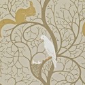 One Sixty Squirrel DVIWSQ101 Sanderson Papel pintado