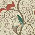 One Sixty Squirrel  DVIWSQ102 Sanderson Papel pintado