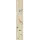 Medidor Infantil Iberostil Sofie & Junar Safari INK7686