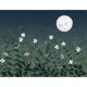 Mural Decorativo Rebel Walls Dreamland Pixie Night R18191