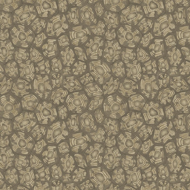 Papel pintado Cole & Son Ardmore Jabula Savanna Shell 119-4020