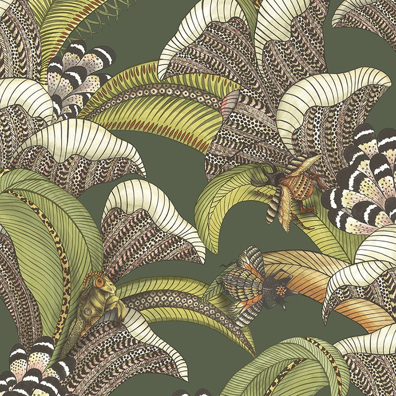 Papel pintado Cole & Son Ardmore Jabula Hoopoe Leaves 119-1003