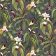 Papel pintado Osborne & Little Empyrea Michelia W7612-01