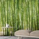 Mural Saint Honoré One Roll One Motif  Bamboo 1860-2674