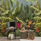 Mural Saint Honoré One Roll One Motif  Parrot Jungle 1860-2654