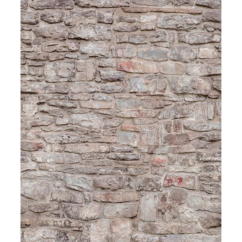Mural Saint Honoré One Roll One Motif Castle Wall 1860-2650
