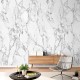 Mural Saint Honoré One Roll One Motif White Marble 1860-2637
