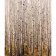 Mural Saint Honoré One Roll One Motif  Birch Tree 1860-2673