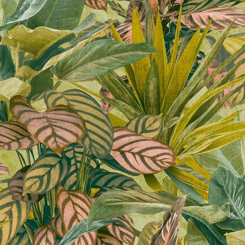 Papel pintado pdwall Botanica Wallpaper Tropical Plants 01WL2003