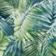 Papel pintado pdwall Botanica Wallpaper Palm Leaves 01170702
