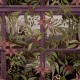 Cascading Gardens Comoro Papel Holden 91393