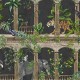 Cascading Gardens Petra Papel Holden 91351