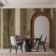 Mural Decorativo Tres Tintas Aniline Temple M4111-2