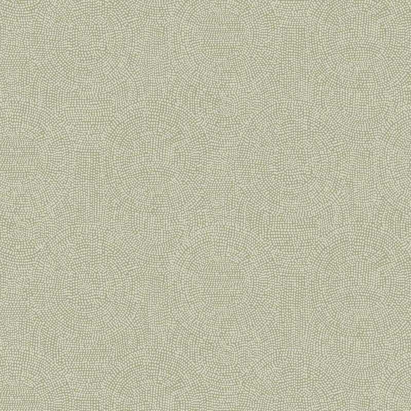 Papel Pintado Khroma Zoom Tula Goanna TUL505